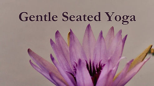 Gentle Seated Yoga 1